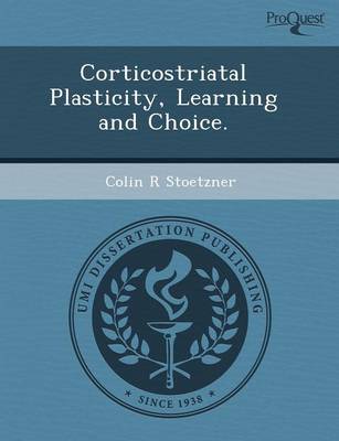 Corticostriatal Plasticity (Paperback)