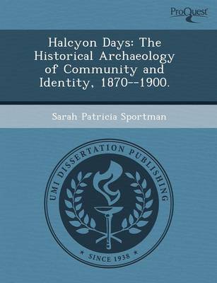 Halcyon Days: The Historical Archaeology of Community and Identity (Paperback)