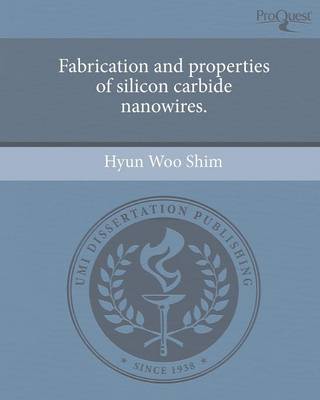Fabrication and Properties of Silicon Carbide Nanowires (Paperback)