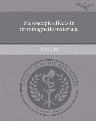 Mesoscopic Effects in Ferromagnetic Materials (Paperback)