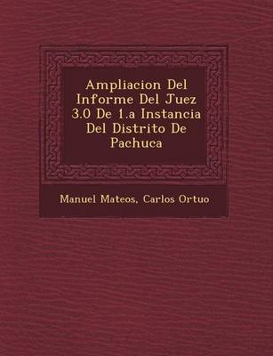 Ampliacion del Informe del Juez 3.0 de 1.a Instancia del Distrito de Pachuca (Paperback)