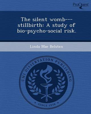 The Silent Womb---Stillbirth: A Study of Bio-Psycho-Social Risk (Paperback)