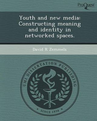 Youth and New Media: Constructing Meaning and Identity in Networked Spaces (Paperback)
