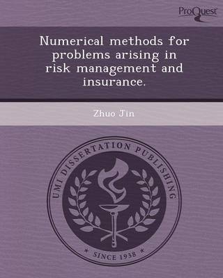 Numerical Methods for Problems Arising in Risk Management and Insurance (Paperback)