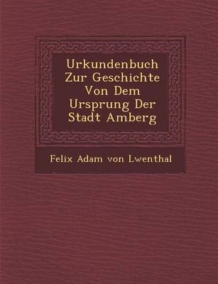 Urkundenbuch Zur Geschichte Von Dem Ursprung Der Stadt Amberg (Paperback)