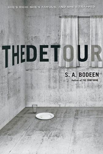 The Detour (Paperback)