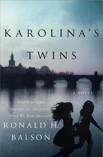 Karolina's Twins: A Novel (Hardback)