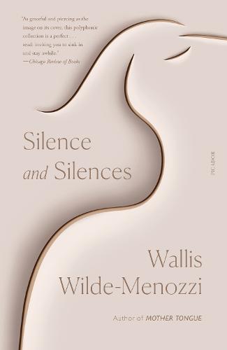 Silence and Silences (Paperback)