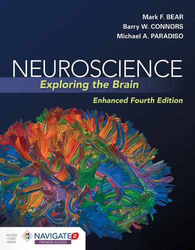 Neuroscience: Exploring The Brain, Enhanced Edition by Mark Bear, Barry ...