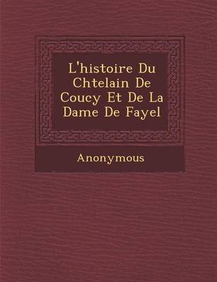 L'Histoire Du Ch Telain de Coucy Et de La Dame de Fayel (Paperback)