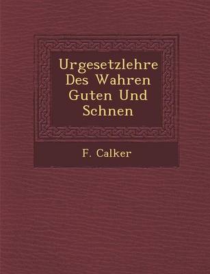 Urgesetzlehre Des Wahren Guten Und Sch Nen (Paperback)