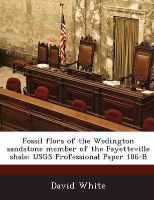 Fossil Flora of the Wedington Sandstone Member of the Fayetteville Shale: Usgs Professional Paper 186-B (Paperback)