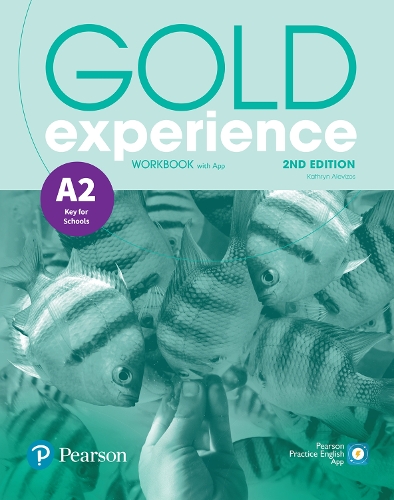 Gold Experience 2nd Edition A2 Workbook - Gold Experience (Paperback)
