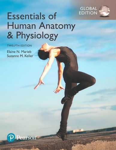 Cover Essentials of Human Anatomy & Physiology plus Pearson Mastering Anatomy & Physiology with Pearson eText, Global Edition