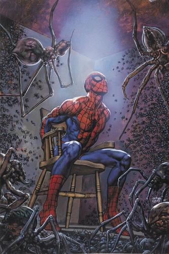 Spider-man's Tangled Web Omnibus (Hardback)