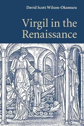 Virgil in the Renaissance (Paperback)