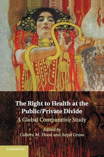 The Right to Health at the Public/Private Divide: A Global Comparative Study (Paperback)