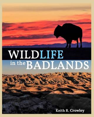 Wildlife in the Badlands (Paperback)