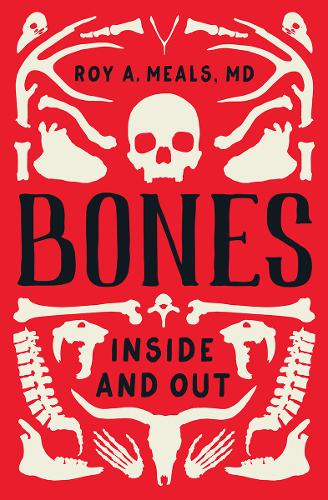 Bones: Inside and Out (Hardback)