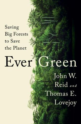 Ever Green: Saving Big Forests to Save the Planet (Hardback)