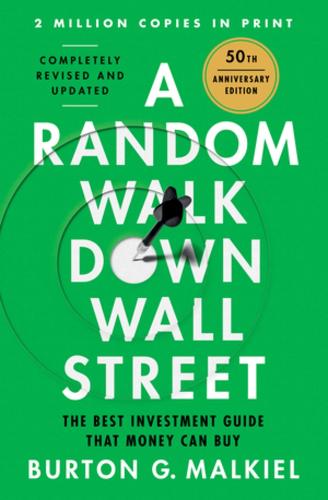 Cover of A Random Walk Down Wall Street