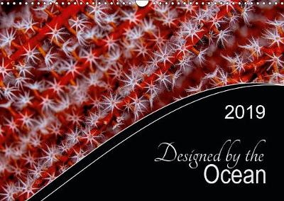 Designed by the Ocean 2019: Mother nature is the most creative artist. Especially underwater, at the reefs of the oceans, she presents a fascinating art: Reef Art. - Calvendo Nature (Calendar)