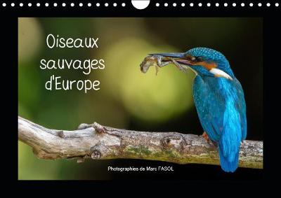 Oiseaux sauvages d'Europe 2019: Les plus belles et plus fascinantes especes d'oiseaux a observer en Europe, au fil des saisons - Calvendo Animaux (Calendar)