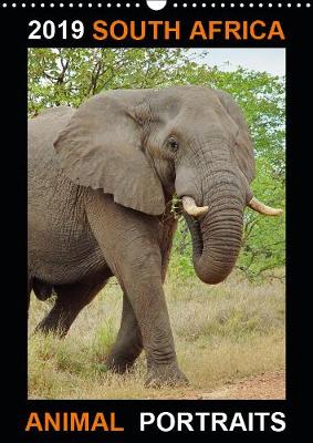 SOUTH AFRICA ANIMAL PORTRAITS 2019: Twelve fantastic and beautiful animal portraits captured by Barbara Fraatz (photographer in South Africa). - Calvendo Animals (Calendar)
