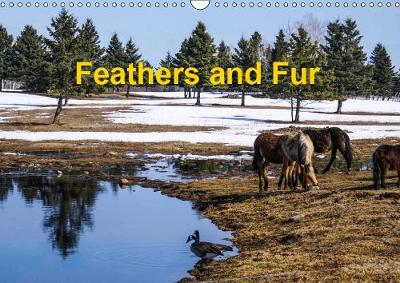 Feathers and Fur 2019: Canadian birds and animals - Calvendo Places (Calendar)