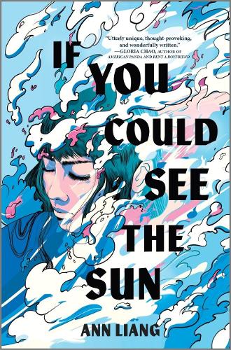 If You Could See the Sun (Hardback)