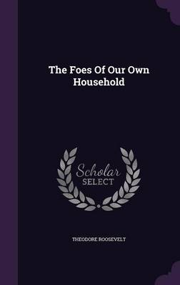 The Foes of Our Own Household (Hardback)