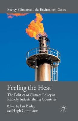 Feeling the Heat: The Politics of Climate Policy in Rapidly Industrializing Countries - Energy, Climate and the Environment (Paperback)