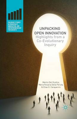 Unpacking Open Innovation: Highlights From a Co-Evolutionary Inquiry - Palgrave Studies in Democracy, Innovation, and Entrepreneurship for Growth (Paperback)