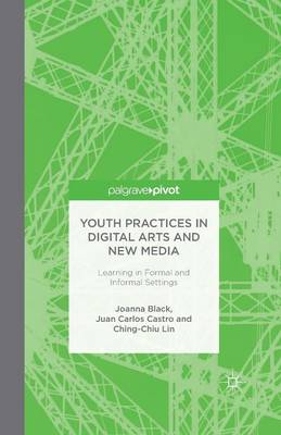 Youth Practices in Digital Arts and New Media: Learning in Formal and Informal Settings (Paperback)