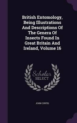 British Entomology, Being Illustrations and Descriptions of the Genera of Insects Found in Great Britain and Ireland, Volume 16 (Hardback)