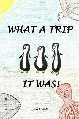 What a Trip It Was (Paperback)