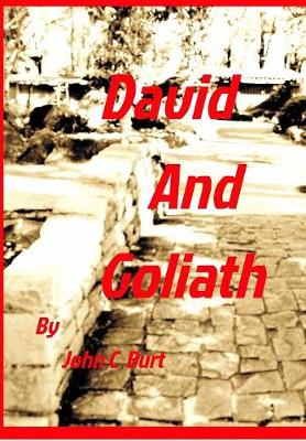 David and Goliath (Hardback)