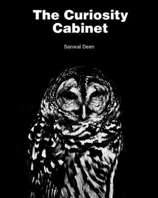 The Curiosity Cabinet (Paperback)