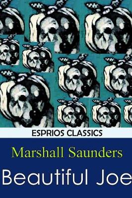 Beautiful Joe (Paperback)