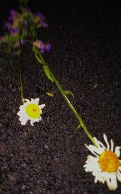Petrichor (Paperback)