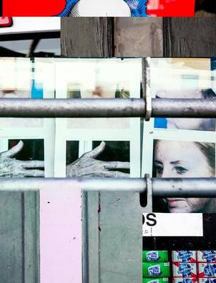 Ambiguous Signs (Hardback)