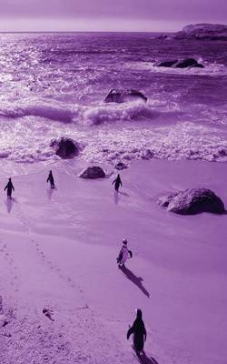 Alive! Little Penguin Friends - Violet Duotone - Photo Art Notebooks (5 X 8 Series) (Paperback)