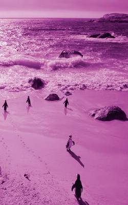 Alive! Little Penguin Friends - Magenta Duotone - Photo Art Notebooks (5 X 8 Series) (Paperback)