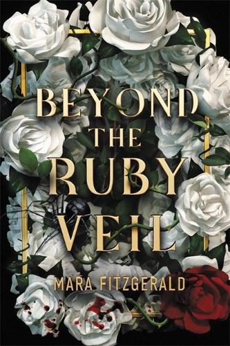 Beyond the Ruby Veil (Hardback)
