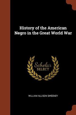 History of the American Negro in the Great World War (Paperback)