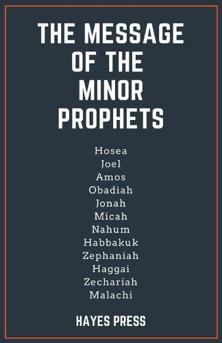 The Message of the Minor Prophets (Paperback)