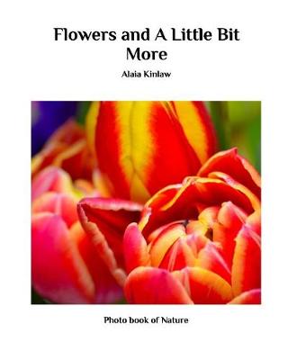 Flowers and a Little Bit More (Paperback)