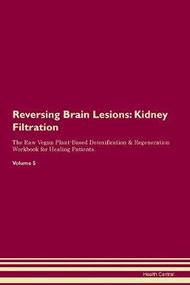 Reversing Brain Lesions: Kidney Filtration The Raw Vegan Plant-Based Detoxification & Regeneration Workbook for Healing Patients. Volume 5 (Paperback)
