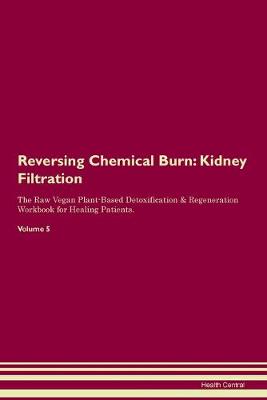 Reversing Chemical Burn: Kidney Filtration The Raw Vegan Plant-Based Detoxification & Regeneration Workbook for Healing Patients. Volume 5 (Paperback)
