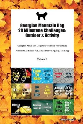 Georgian Mountain Dog 20 Milestone Challenges: Outdoor & Activity Georgian Mountain Dog Milestones for Memorable Moments, Outdoor Fun, Socialization, Agility, Training Volume 3 (Paperback)